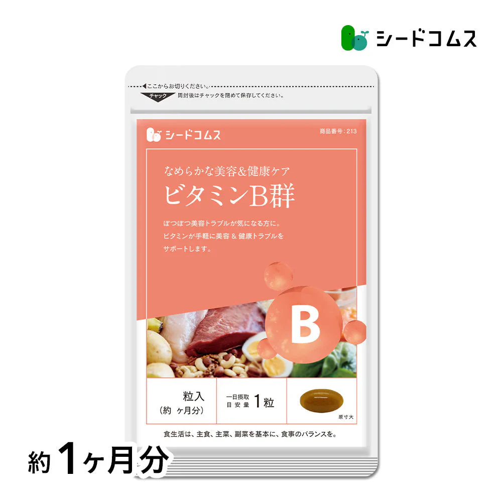 ビタミンB群《約1ヶ月分》チアミン硝酸塩/リボフラビン/ナイアシン/ニコチン酸アミド/ピリドキシン塩酸塩