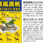 九頭馬水晶・カラフル宝石ストラップ [ ストラップ 厄除け 厄除 巾着袋付き 携帯 かばん 開運 魔除け 厄払い 九頭馬 スマートフォン スマホ お守り 厄年 グッズ 幸運 贈り物 お守り プレゼント 男性 女性 メンズ レディース ]