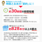 無洗米 30kg (5kg×6袋) こつぶ姫 国内産 送料無料 無洗米30キロ こめ コメ お米 精米 お米30kg お米30キロ