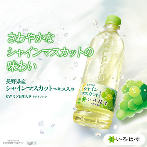 【1ケース】コカ・コーラ い・ろ・は・す シャインマスカット 540ml PET 24本  いろはす 天然水 リサイクル ペットボトル エコ ilohas