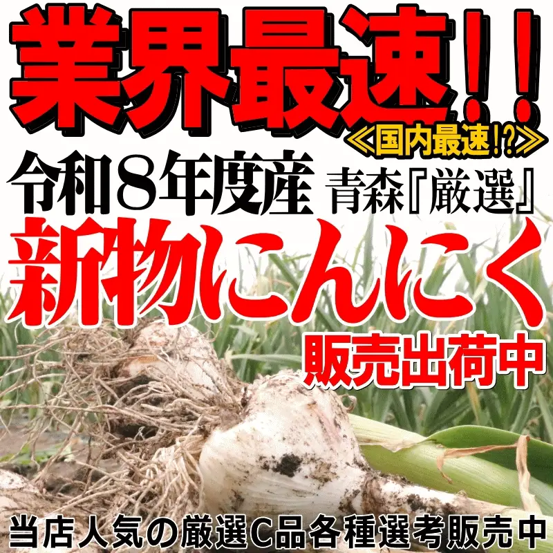 【新物】令和8年産 青森県産にんにく 5kg 訳あり C品 Mサイズ以上大玉混合 福地ホワイト六片種