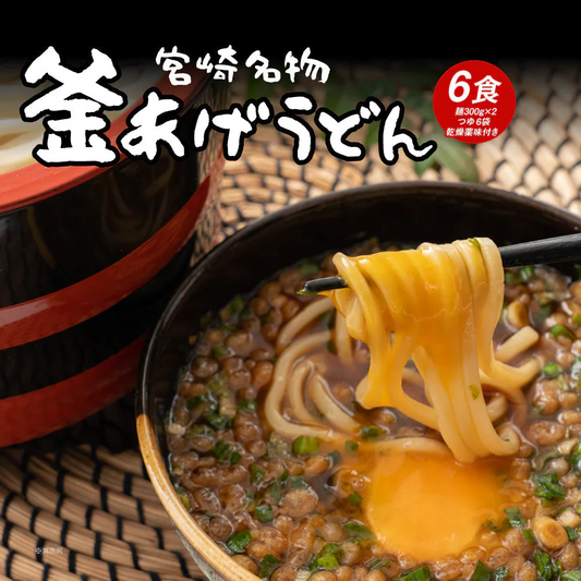 宮崎 釜あげうどん 6食 送料無料 つゆ・薬味付き ご当地うどん 食品 ご当地グルメ 産直 お試し 取り寄せ