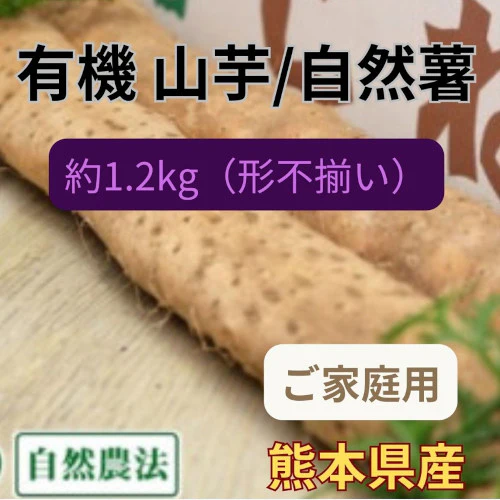 有機自然薯【1.2kg】有機JAS認証/無農薬　熊本県産　産地直送