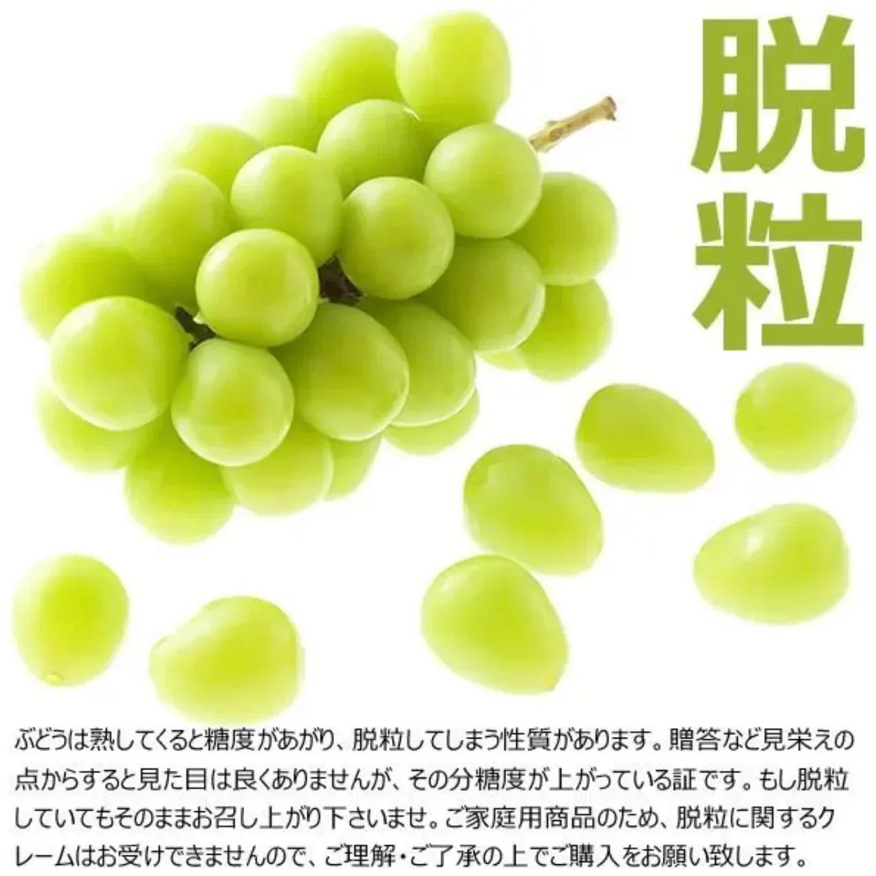 長野県産 シャインマスカット  約1.5kg(1000g+保証分500g) 1-3房 ぶどう 葡萄 巨峰
