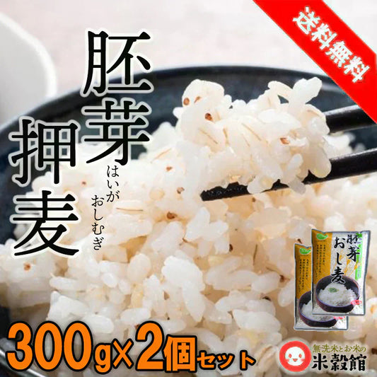 押麦 胚芽押麦 おし麦 300g×2(600g) 食物繊維 国内産 少量 麦とろごはん ネコポス発送送料無料