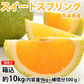 スイートスプリング 訳あり 10kg 箱込（内容量9kg＋補償分500g) みかん 送料無料 訳あり 熊本県産 爽やかな甘さと香り 蜜柑 温州みかん 八朔 お取り寄せ フルーツ