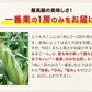 【TVで紹介】とうもろこし 卯野農場 すごあまこーん 12本入り 【3L~Lサイズ / 約3.6kg-4.8kg前後】  朝採り スイートコーン 《7-14営業日以内に発送予定（土日祝除く）》