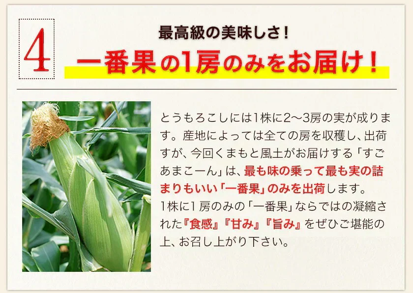 【TVで紹介】とうもろこし 卯野農場 すごあまこーん 12本入り 【3L~Lサイズ / 約3.6kg-4.8kg前後】  朝採り スイートコーン 《7-14営業日以内に発送予定（土日祝除く）》