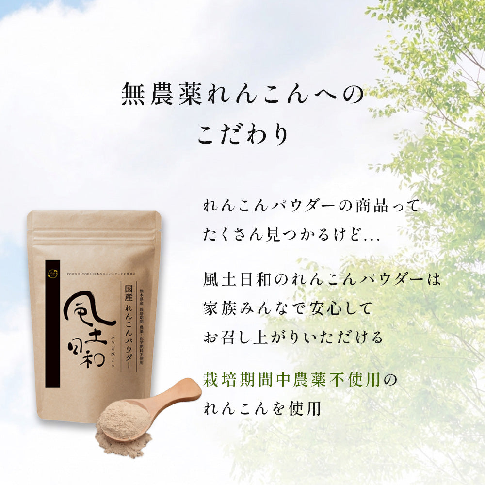 れんこんパウダー 国産 70g 無農薬 粉末 レンコンパウダー ポリフェノール レシピ 離乳食 ヨーグルト スイーツ 食物繊維 タンニン れんこん 蓮根パウダー 野菜パウダー レンコン粉 熊本県産 化学肥料不使用 送料無料