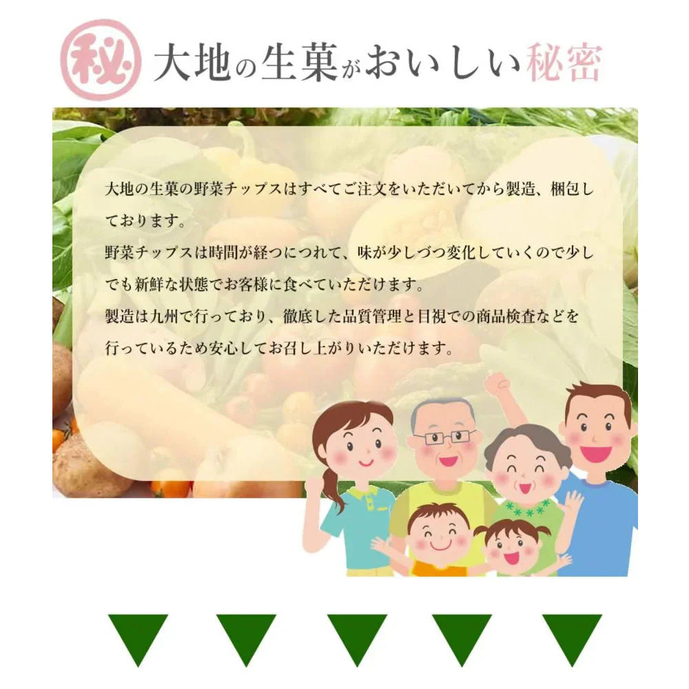 【150g】15種類の野菜チップス