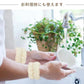 吸水リストバンド 「Bセット」 6個入 リストバンド アームバンド 手首バンド 吸水ウォッシュバンド 袖濡れ防止 マイクロファイバー ふわふわ 柔らかい タオル 伸縮性 【カウシェファーム収穫対象商品】