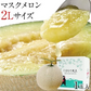 九州産 マスクメロン 2Lサイズ 秀品 1玉 約1.2kg 送料無料 熨斗対応 ギフト プレゼント メロン 贈答 フルーツギフト 贈り物  《1-5営業日以内に出荷予定（土日祝除く）》