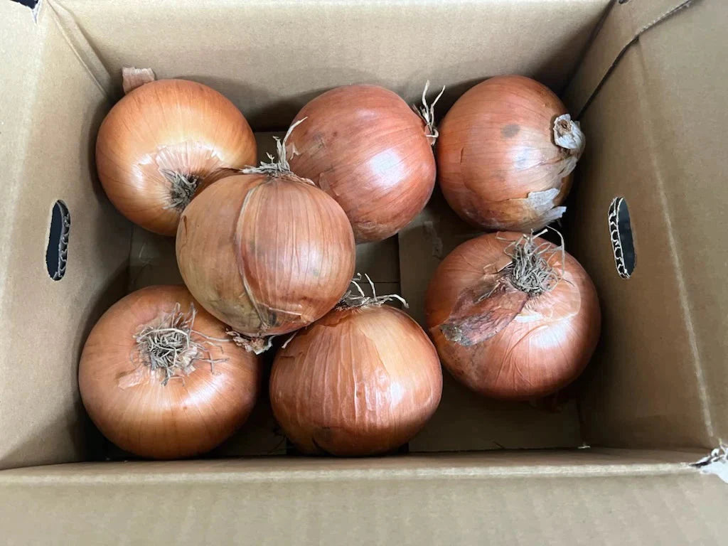 たまねぎ 約2kg 送料無料【ご新規さん限定商品】　60サイズ