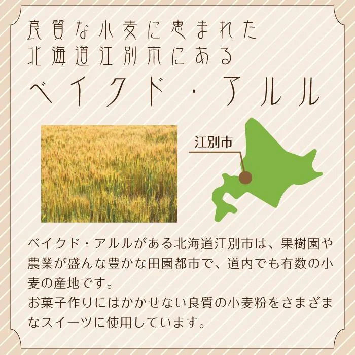 ベイクド・アルル クッキーシューギフト