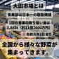 【大田市場直送】プレミアムお勧め野菜セット 15品【送料無料】