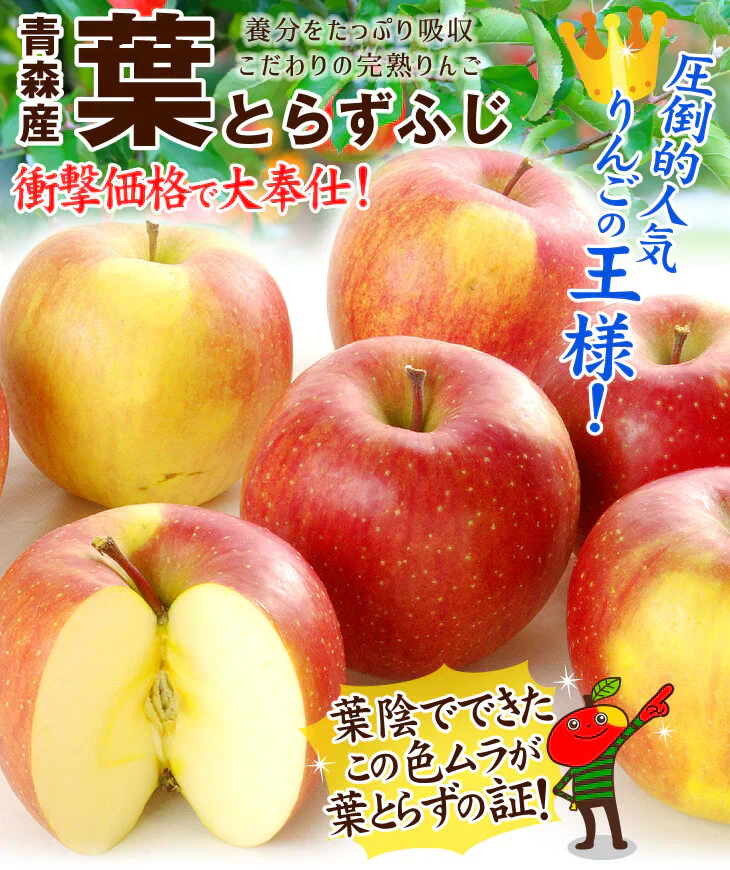 りんご 5kg 葉とらずふじ 青森産 ご家庭用【2025年1月より発送】