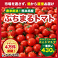 【10営業日以内に発送】ぷちまるトマト★ 430g（260~280g+補償分150g)【カウシェファーム収穫対象商品】
