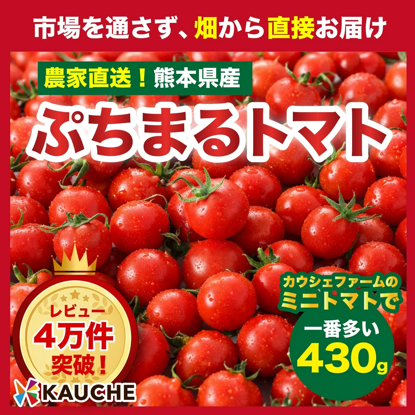 【10営業日以内に発送】ぷちまるトマト★ 430g（260~280g+補償分150g)【カウシェファーム収穫対象商品】