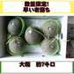 【6月上旬～7月上旬発送予定】肥後グリーンメロン 訳あり 箱込約７キロ（3～6玉入り）熊本産　120サイズ