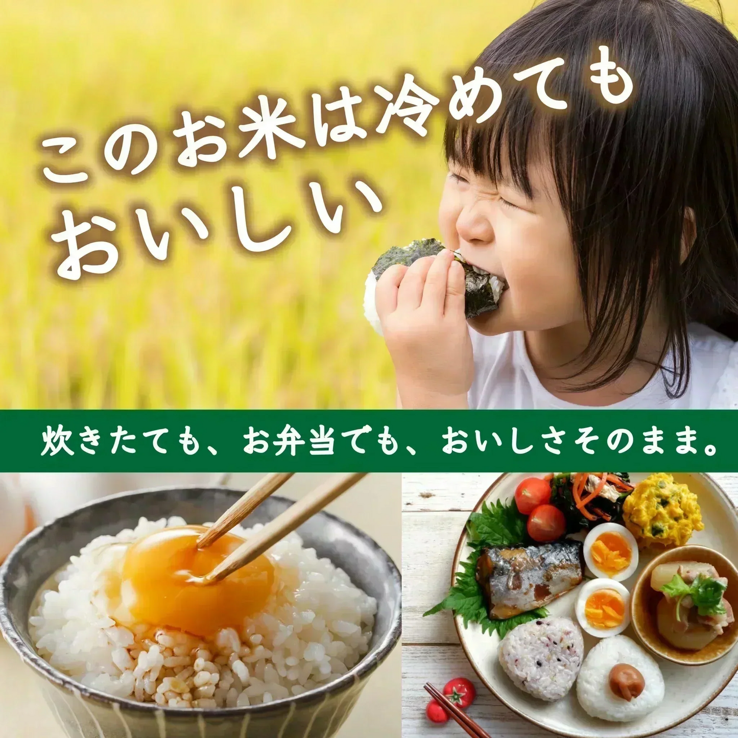 【お届けまで約3週間】「黄金比米」 800g 佐賀県産 滋賀県産 15年連続食味特A受賞【カウシェファーム収穫対象商品】