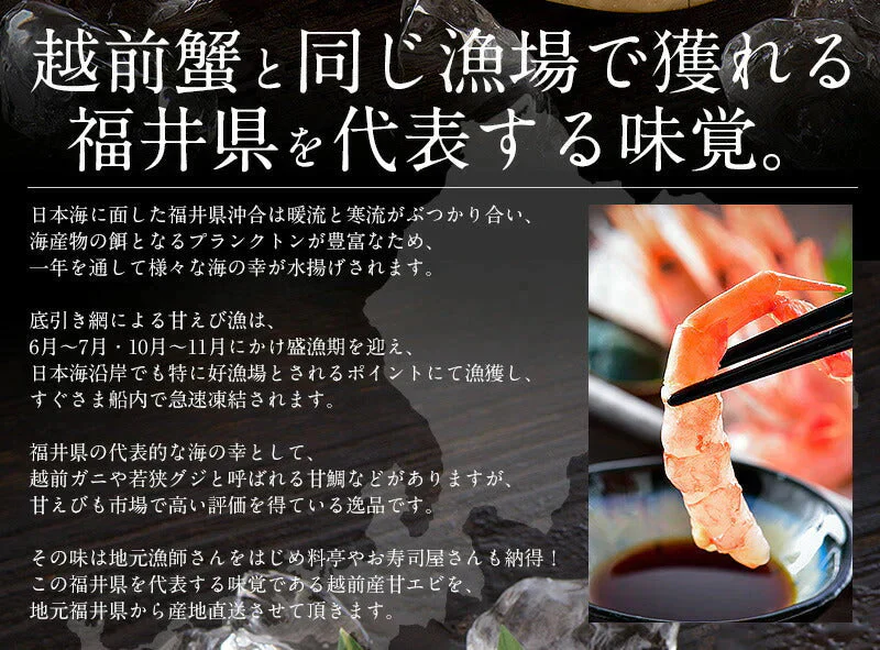 越前産 甘えび 甘エビ 子持ち 500g（約40尾入り） 冷凍エビ 冷凍えび 冷凍海老 刺身用 天然 食べ物 海鮮 魚介 水産 冷凍 祝い お徳用 国内 魚介類 美味しいお取り寄せ グルメ 贈り物 母の日 プレゼント ギフト  母の日思いの 実用的