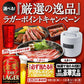 サントリー 金麦 ザ ・ラガー 500ml×2ケース 【北海道・沖縄県・東北・四国・九州地方は必ず送料が掛かります】