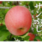 りんご サンふじ 青森産 3kg【2025年1月中旬より発送】