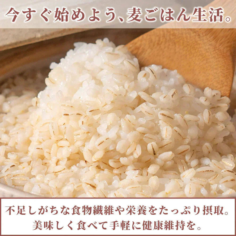 雑穀 雑穀米 国産 胚芽押麦 800g(400g×2袋) 定番サイズ 無添加 無着色 送料無料