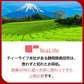 贅沢はちみつ紅茶 カップ用 15個入（国産はちみつパウダー ハチミツ紅茶 ギフト 蜂蜜 ぜいたく ドリンク 自然の甘み ティーライフ）