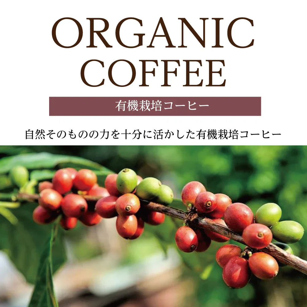 お試しセット　有機栽培コーヒー3種アソートセット　400ｇ（100ｇ✕4）　粉