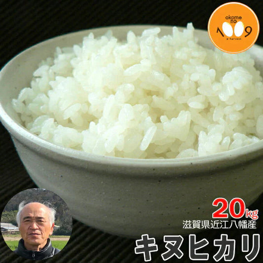新米 滋賀県近江八幡産 キヌヒカリ 玄米 20kg 令和6年産 内野営農組合 環境こだわり農産物