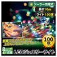 LEDストレートライトジュエリー暖色100球10ｍ