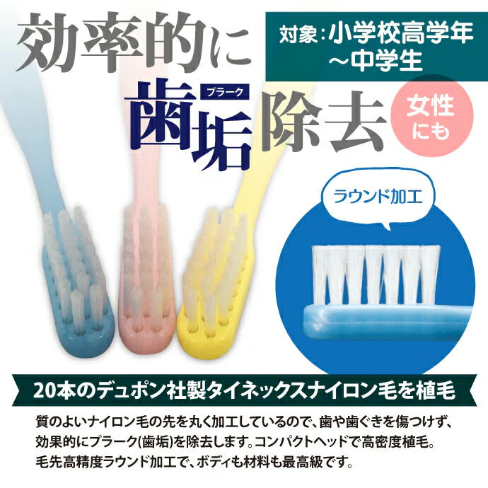 Ci Jr.（ジュニア）歯ブラシ 12本 3色アソート スリムヘッド 小学校高学年から中学生【メール便送料無料】