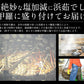 冬の味覚 甲羅盛りセット極 越前産ズワイガニ 中サイズ×1個（甲羅横幅 約11cm）セイコガニ 小サイズ 70g前後×2個（甲羅横幅 約7.5cm） 母の日 プレゼント ギフト  母の日思いの 健康 実用的 父の日 子供 孫