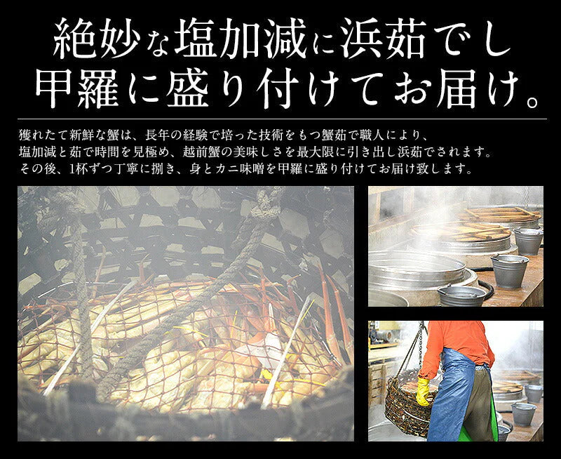 冬の味覚 甲羅盛りセット極 越前産ズワイガニ 中サイズ×1個（甲羅横幅 約11cm）セイコガニ 小サイズ 70g前後×2個（甲羅横幅 約7.5cm） 母の日 プレゼント ギフト  母の日思いの 健康 実用的 父の日 子供 孫
