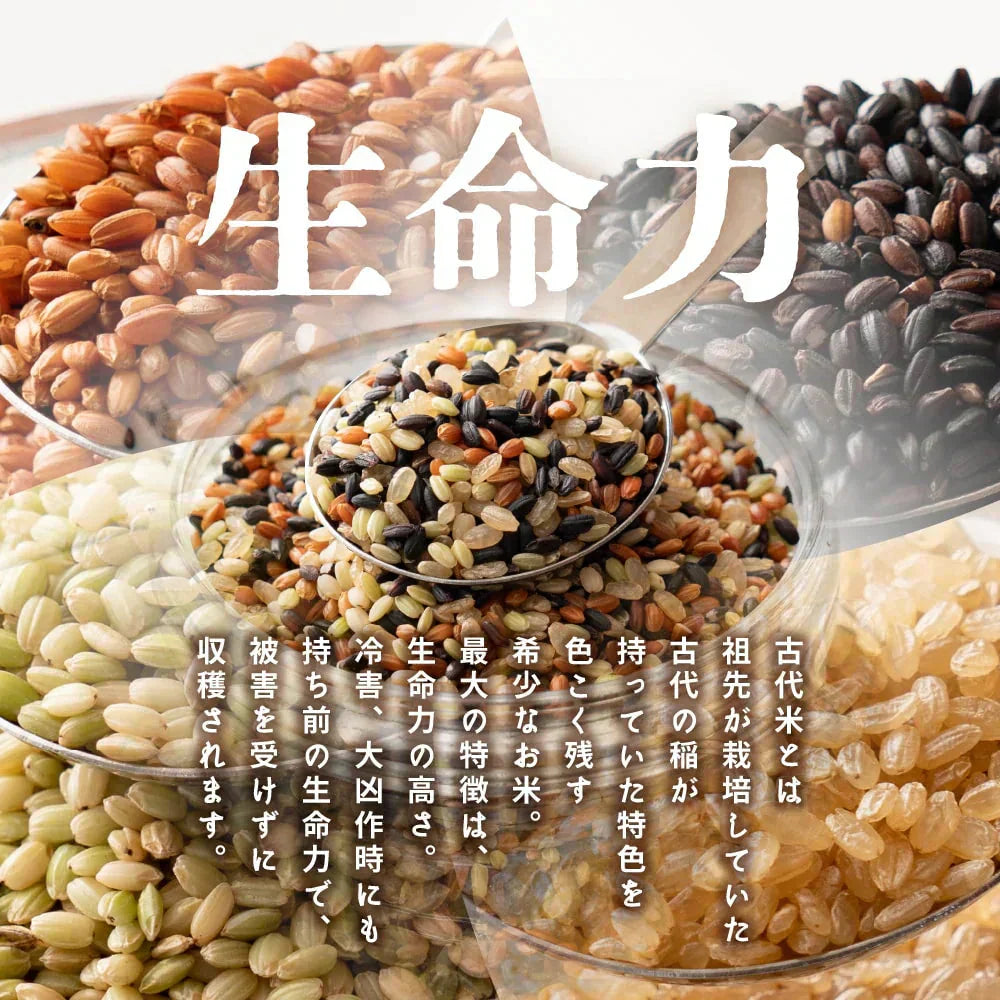 【無洗米雑穀】古代米４種ブレンド(赤米/黒米/緑米/発芽玄米) 24kg(400g×60袋)