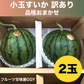 【6月上旬～7月上旬発送予定】小玉すいか (ひとりじめ・まなむすめ・スイートキッズ・黒小玉など) 熊本産 2玉入