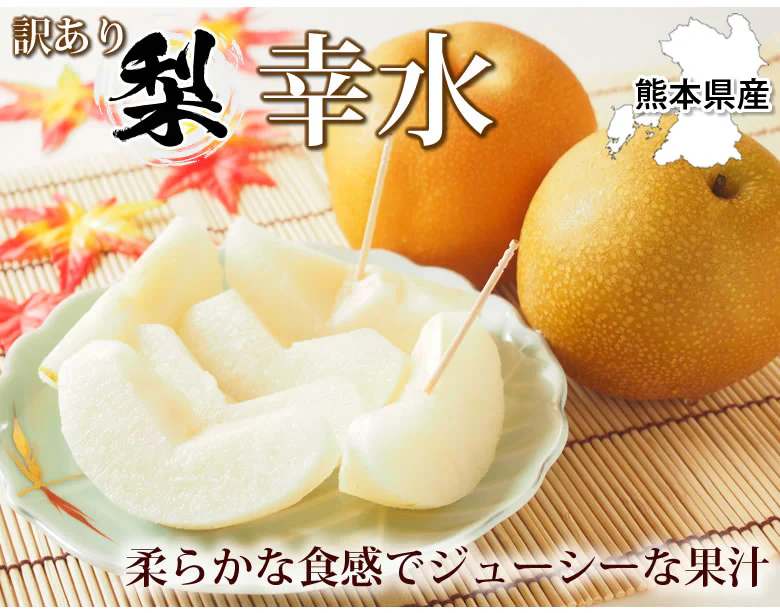 【7月下旬～8月上旬頃より順次出荷】幸水 梨 送料無料 クール便 訳あり 5kg 箱込 (内容量4kg+補償500g) お取り寄せ 熊本県産 ナシ 和梨