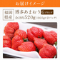 博多あまおう 福岡県産 ご家庭用 2パック 約520g (1パック約260g)  グランデ