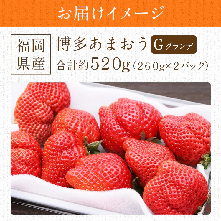 博多あまおう 福岡県産 ご家庭用 2パック 約520g (1パック約260g)  グランデ