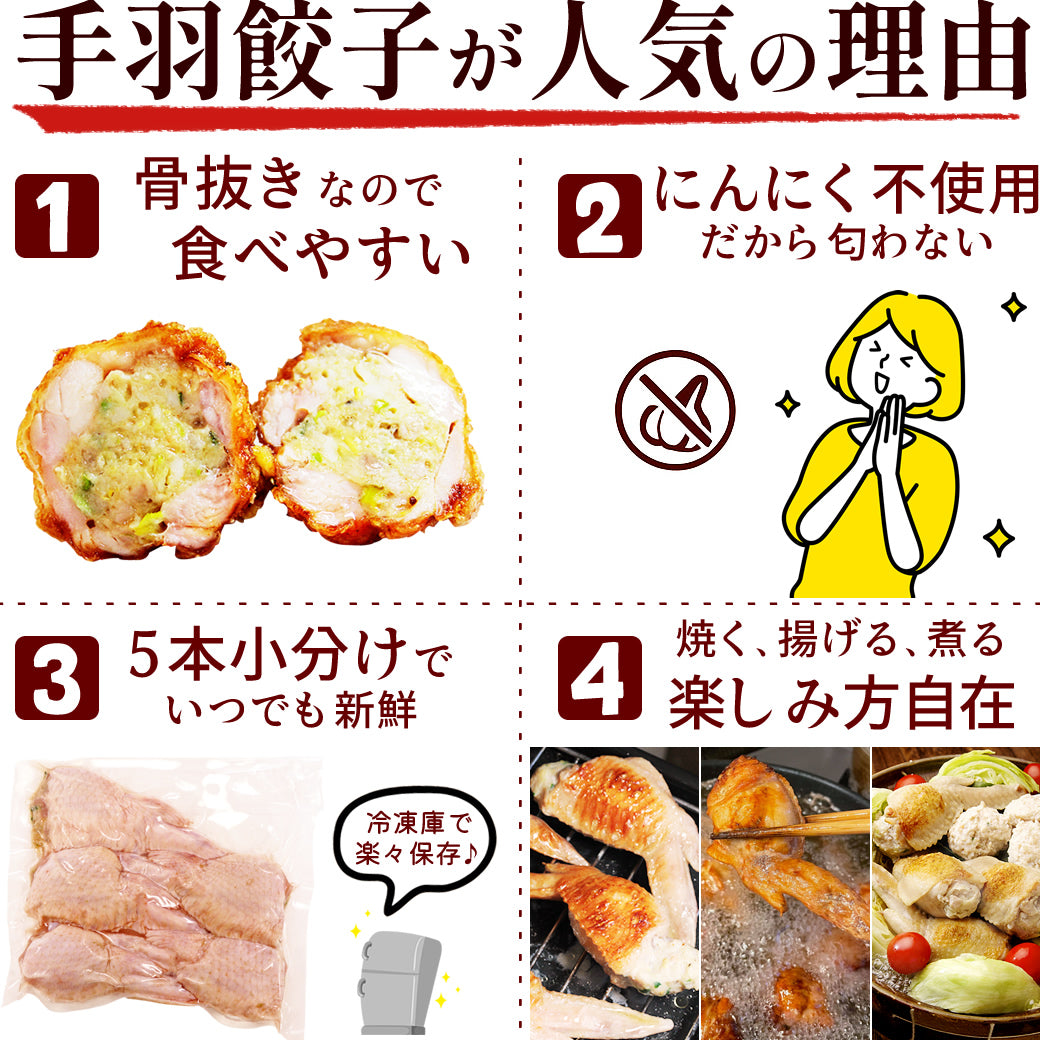 8秒に1本売れてる！手羽餃子 10本入 冷凍 餃子 国産鶏肉 惣菜 おかず 簡単調理 お取り寄せ グルメ 手羽先餃子 ビール おつまみ BBQ 人気 点心 送料無料 リュウジのバズレシピ