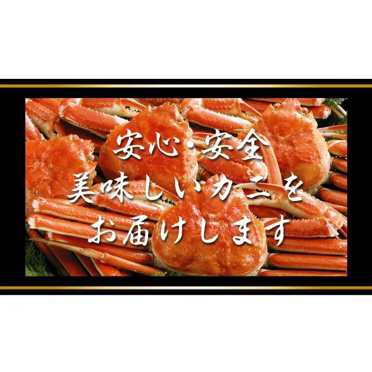 かに ボイルずわいがに姿 1尾