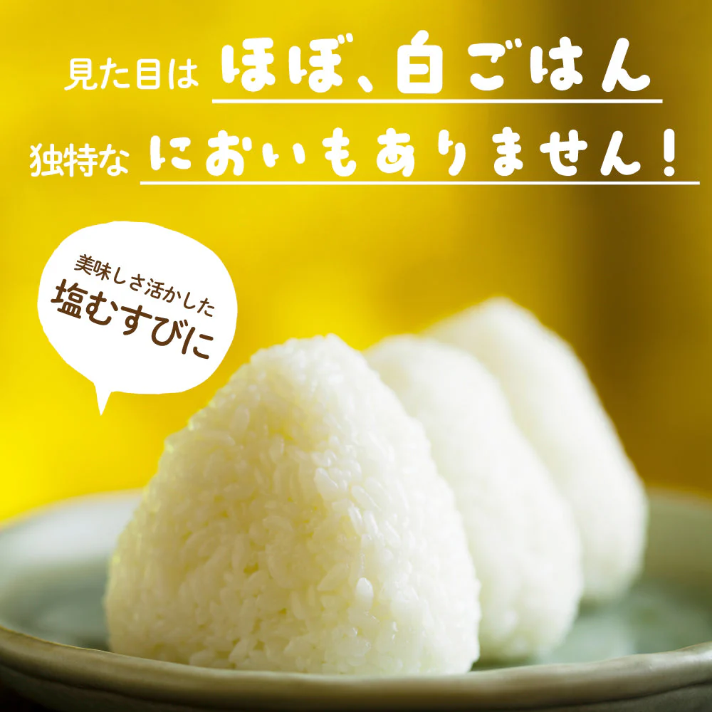 雑穀 雑穀米 糖質制限 こんにゃく米(乾燥) 1kg(500g×2袋) 定番サイズ 送料無料