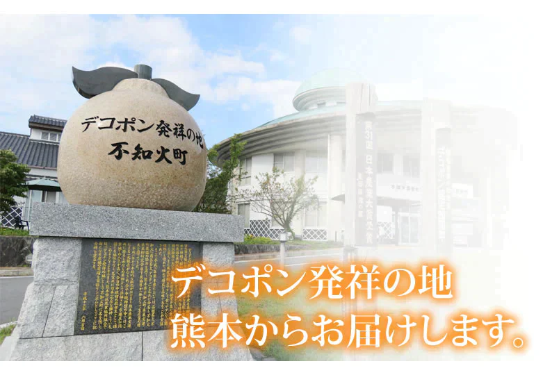 デコポン 同品種 デコみかん 訳あり 送料無料 ハウス栽培 1.5kg みかん 熊本県産 不知火 ミカン 蜜柑