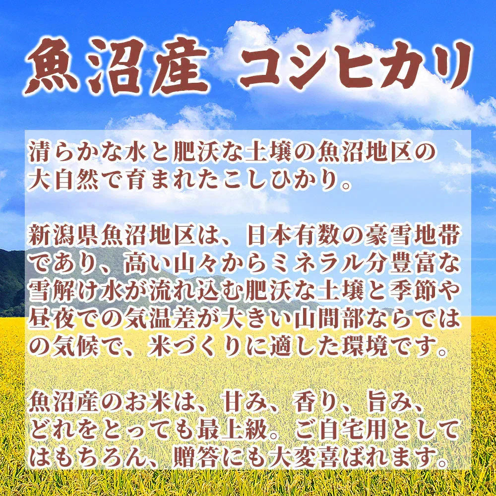 【白米】令和7年産 魚沼産 コシヒカリ 10kg(5kg×2袋) 精白米 国産 国産コシヒカリ100％ 送料無料 精米工場からの直送品