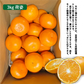 国産 せとか 約3kg 愛媛県 和歌山県 秀品 ギフト 贈答 セトカ みかん 柑橘