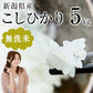 令和6年度産 無洗米5kg 新潟県産こしひかりのお米【送料込み】
