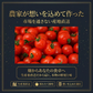 【特別栽培農産物】ソムリエミニトマト　プラチナ　４００ｇ（補償100g込み）※補償分以上の不良は交換対応可能