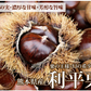 【9月下旬～10月上旬頃より順次出荷】利平栗 栗 送料無料 1kg L～2L クール便 熊本県産 幻の高級和栗 生栗 くり クリ 渋皮煮