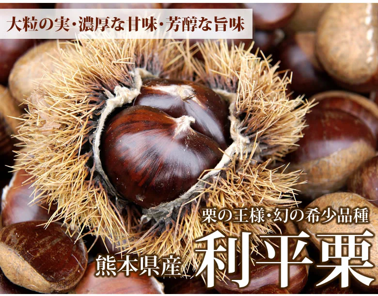 【9月下旬～10月上旬頃より順次出荷】利平栗 栗 送料無料 1kg L～2L クール便 熊本県産 幻の高級和栗 生栗 くり クリ 渋皮煮